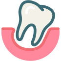 Dental---Tooth---Dentist---Dentistry-06