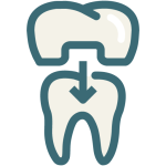 Dental---Tooth---Dentist---Dentistry-15