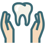 Dental---Tooth---Dentist---Dentistry-31